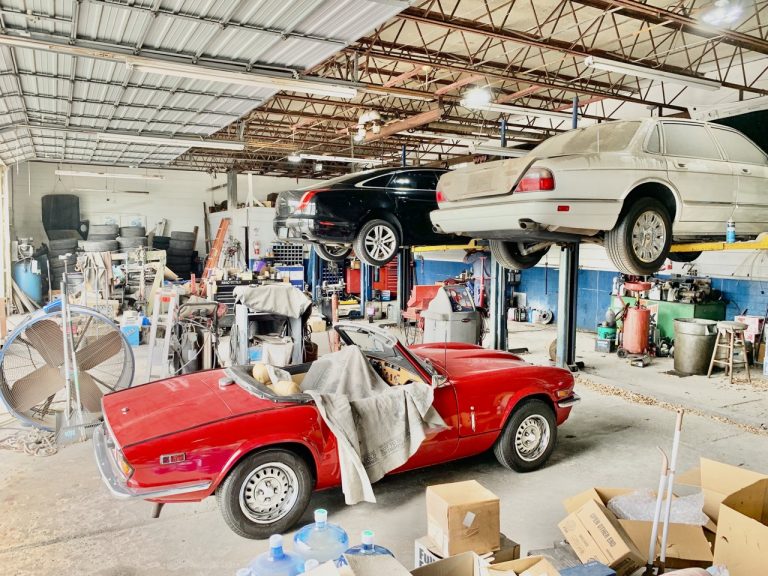 IMG 1891 Large 768x576